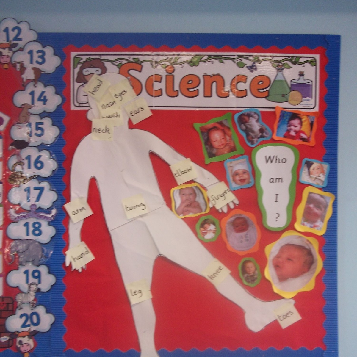 paddox-primary-school-year-1-science